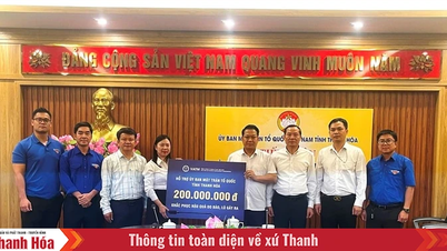 Până la după-amiaza zilei de 27 octombrie, peste 59 de miliarde de VND fuseseră primite pentru a sprijini persoanele afectate de furtuna nr. 10.