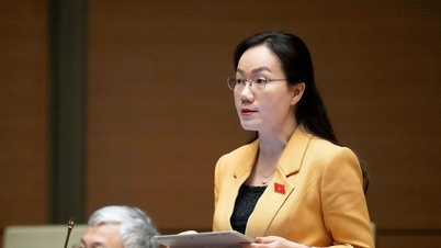 İncelemenin güçlendirilmesi ve çelişkili ve örtüşen düzenlemelerin üstesinden gelinmesi