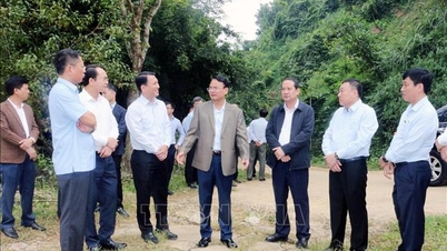 পর্যটন উন্নয়নের জন্য কুক ফুওং এর সম্ভাবনা এবং সুবিধাগুলিকে ভালোভাবে কাজে লাগান।