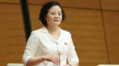 Visestatsminister Pham Thi Thanh Tra informerer om tidspunktet for lønnsreformen