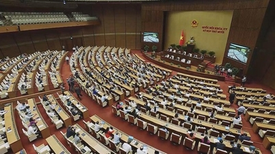 Пропозиція щодо підвищення базової зарплати з 1 січня 2026 року