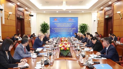 Den tionde teoretiska dialogen mellan Vietnams kommunistiska parti och Tysklands socialdemokratiska parti (SPD)