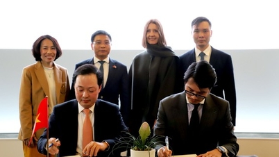 Expanding access to global capital for Vietnamese businesses