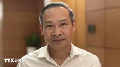 Kurumları sosyo-ekonomik kalkınmayı teşvik etmek için önemli bir temel haline getirmek