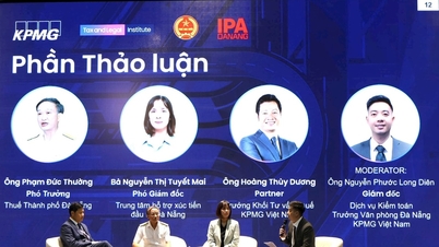 Atualização das normas fiscais para quase 300 empresas em Da Nang