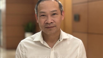 Превращение институтов в важную основу для защиты и содействия социально-экономическому развитию