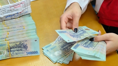 Ho Chi Minh şehrinde 31.000 şirket vergi borcuyla listelendi; bunların çoğu HDTC, Xuyen Viet Oil...