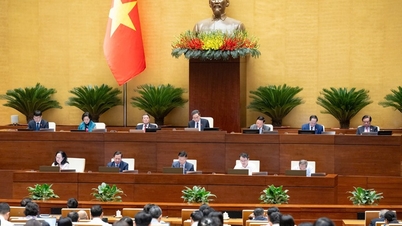 Пропонуючи побудувати політику оплати праці, що відповідає посаді кадрів та державних службовців