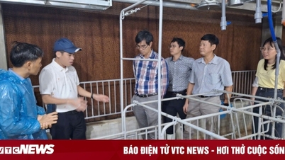 תואר שני בגידול בעלי חיים וטרינרי VNUA: הפוך למומחה טכני וניהולי מקיף