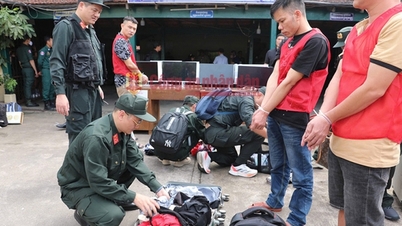 Успішне розкриття справи про транснаціональне кібершахрайство