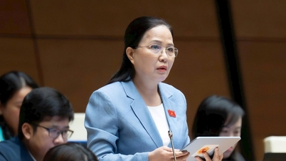 Vorschlag zur Einführung von Zielen zur Schaffung von Arbeitsplätzen und zur baldigen Einführung spezieller Mechanismen für Van Don