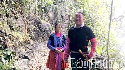 Όταν οι Μονγκ διατηρούν το δάσος για τουρισμό