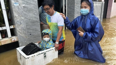 Η Ντα Νανγκ έχει πλημμυρίσει βαθιά σε πολλά μέρη, δεκάδες χιλιάδες νοικοκυριά έχουν πληγεί από τις έντονες βροχοπτώσεις.
