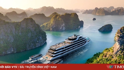 헤리티지 베이 최대 6성급 슈퍼 요트, 아테나 프리미엄 출시식