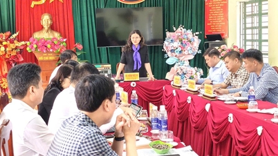 İl Halk Komitesi Başkan Yardımcısı Vuong Ngoc Ha, Quan Ba komününde çalıştı