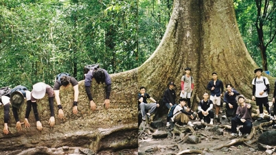 Nam Cat Tien: Uma jornada para descobrir as maravilhas da floresta ancestral.