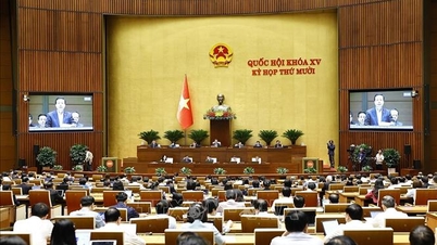 ទស្សនៈរបស់អ្នកបោះឆ្នោត៖ ការផ្សារភ្ជាប់ការអភិវឌ្ឍន៍វប្បធម៌ជាមួយនឹងការអភិវឌ្ឍន៍សេដ្ឋកិច្ច