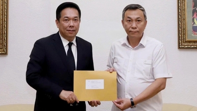 VFF acknowledges Thai football's apology for mistakenly displaying Vietnam's national flag