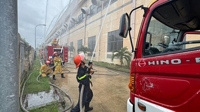 Treinamento de planos de combate a incêndio, resgate e socorro na HONGDA Textile Company Limited