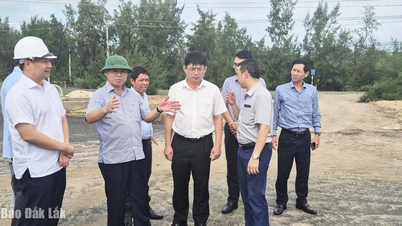 Vice ordförande för provinsens folkkommitté, Truong Cong Thai, inspekterade genomförandet av den provinsiella kustvägen.