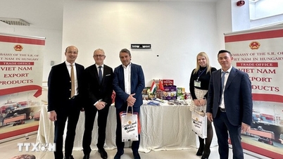 Vietnamul și Ungaria își consolidează conectivitatea și cooperarea în afaceri