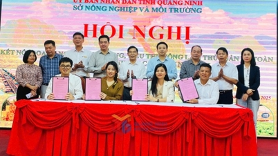 Conférence sur la connexion entre l'offre et la consommation de produits agricoles, forestiers et halieutiques sûrs