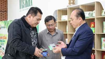 Đoàn công tác Cục Thủy sản - Nguồn lợi Thủy sản Philippines tìm hiểu quy trình sản xuất rong biển tại D&T Khánh Hòa