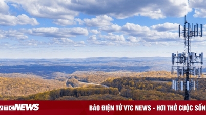 Technologie, 29. Oktober: Nvidia kooperiert mit Nokia, Elon Musk fordert Wikipedia heraus