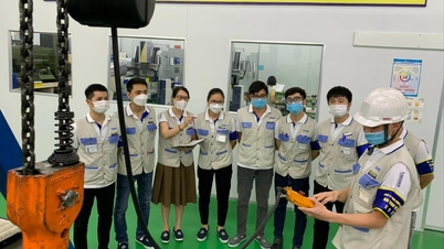 Siết chặt kiểm định thiết bị bảo đảm an toàn lao động