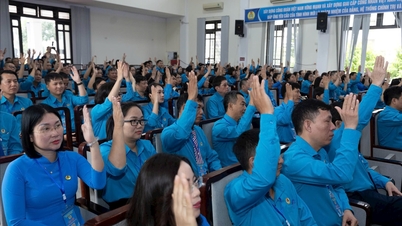 Sindicatul din sectorul Le Thanh Nghi se străduiește să sprijine peste 5.000 de membri de sindicat aflați în dificultate