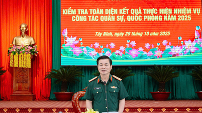 Kementerian Pertahanan Nasional melakukan inspeksi komprehensif terhadap pekerjaan militer dan pertahanan di Tay Ninh