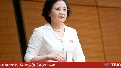 Pham Thi Thanh Tra miniszterelnök-helyettes: A bérreform nem lehetséges azonnal, nagyon körültekintően kell kiszámítani.