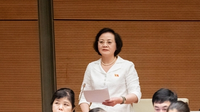 Vroege ontwikkeling van het functiekader en het salarisbeleid