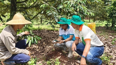 Phu My coopera com a Enfarm: um grande passo em frente na transformação digital da agricultura vietnamita.