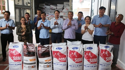 Donated nearly 16 tons of animal feed to 20 households in Hop Thinh commune