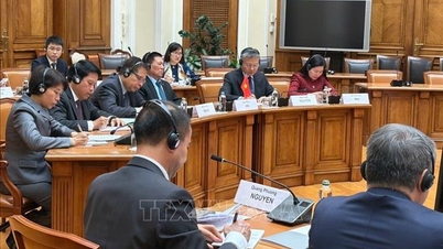 Phó Thủ tướng Chính phủ Hồ Đức Phớc thăm và làm việc tại Liên bang Nga