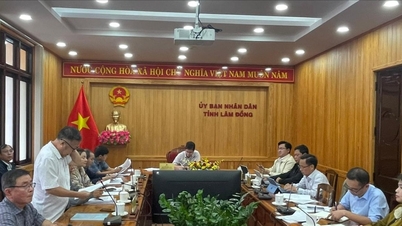 Összpontosítson a Lam Dong-i hulladékkezelési projektek akadályainak elhárítására