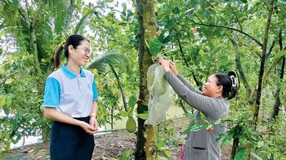 持続可能な生計の創出 - 貧困削減の基盤
