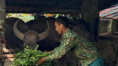 タイグエン少数民族の貧困削減に向けた持続可能な方向性