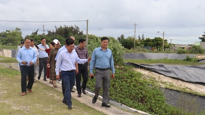 Nestlederen i Lam Dong provinsielle folkekomité, Le Trong Yen, gjennomførte en feltundersøkelse av vindkraftprosjektet og området for produksjon av akvatiske frø.