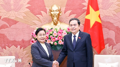 Formannen for nasjonalforsamlingen mottar Viengthong Siphandon, høyesterettsjustitiarius i Laos' høyesterett