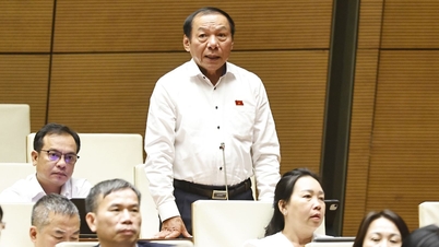 Menteri Nguyen Van Hung: Budaya adalah kekuatan dalaman