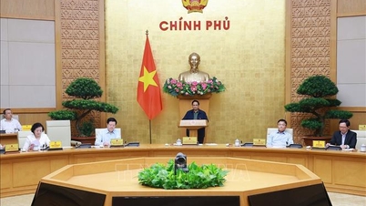 Thủ tướng Phạm Minh Chính: Khắc phục ngay việc cán bộ ở cơ sở thiếu 4 loại kiến thức
