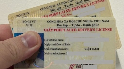 Stimuleer de omzetting van rijbewijzen naar PET-plastic kaarten