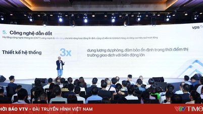 שליטה בטכנולוגיית VPS: בסיס איתן לתפקיד חלוצי