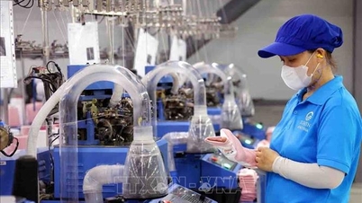 Penubuhan Jawatankuasa Pemandu bagi pembangunan projek pembangunan ekonomi pelaburan asing