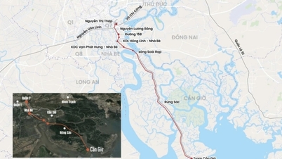 Metro Bến Thành - Cần Giờ: Đề xuất ngầm hóa 5km vào trung tâm