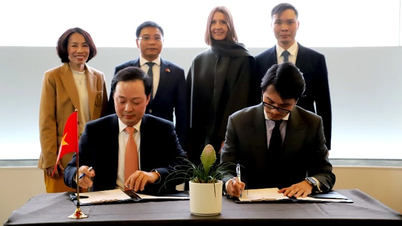 Consolidarea cooperării internaționale, extinderea canalelor de mobilizare a capitalului pentru Vietnam