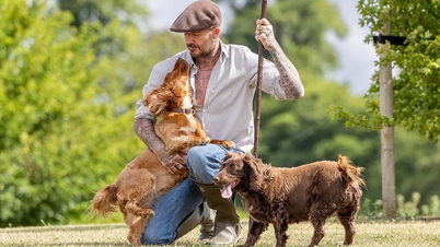 David Beckham leder landets modetrend