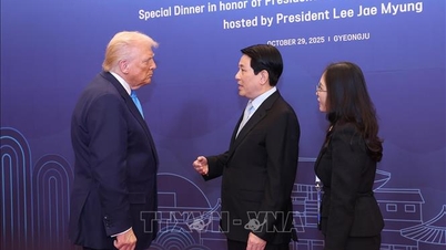 El presidente Luong Cuong se reúne con el presidente de Estados Unidos y altos dirigentes de varios miembros de APEC